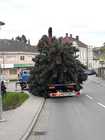 Christbaum Transport