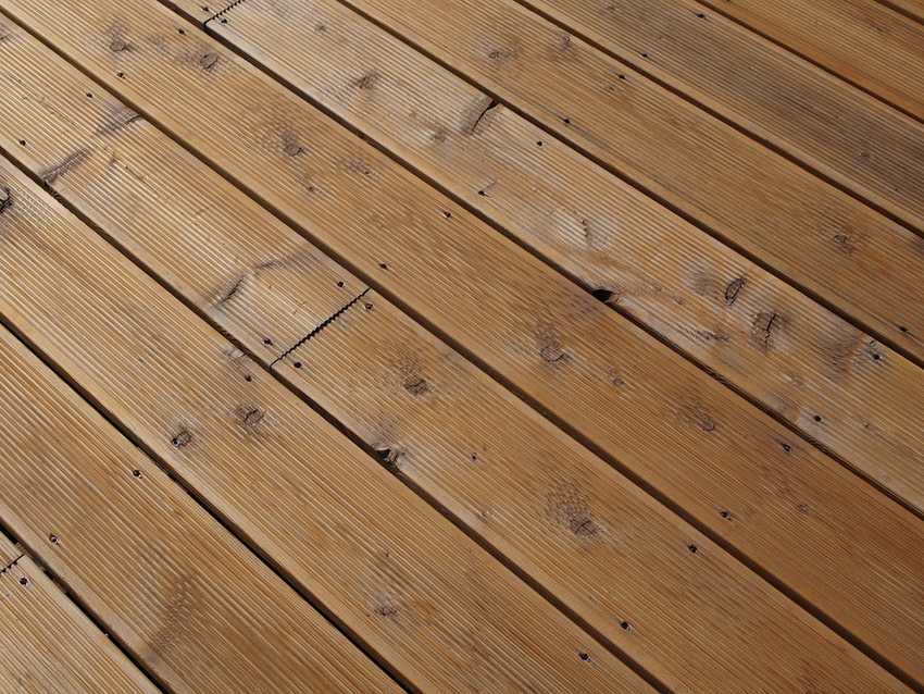 Terrasse sibirische Lärche