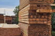 Holz