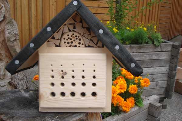 Insektenhotel St.Pölten