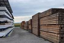 Holz